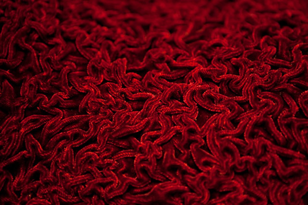 velvet